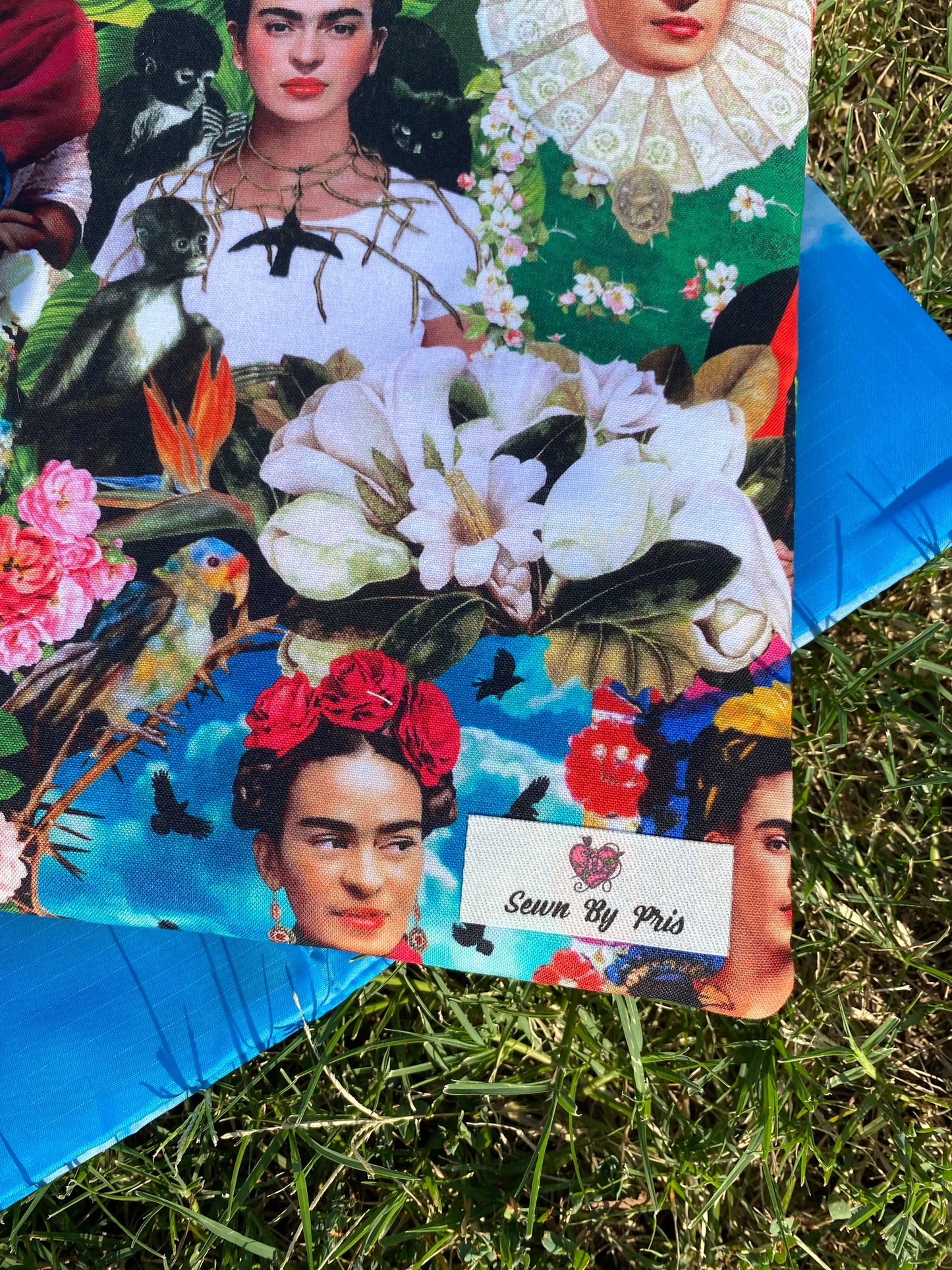 Viva Frida Book Sleeve